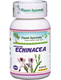 Planet Ayurveda Echinacea 60tk.