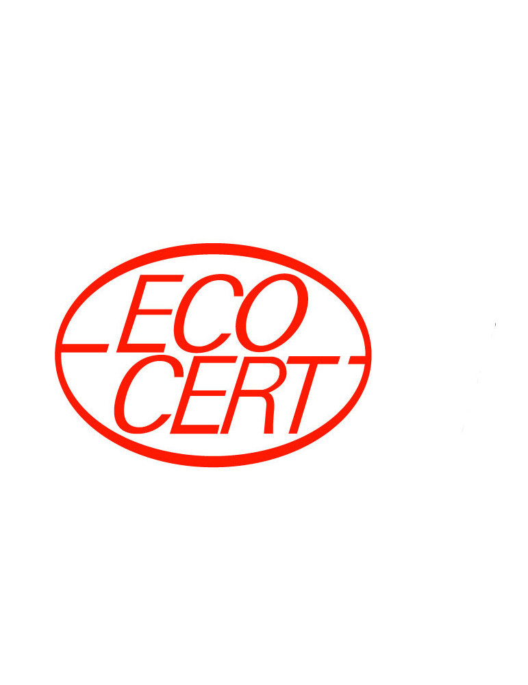 Najel 100% naturaalne suhkruvaha 350g