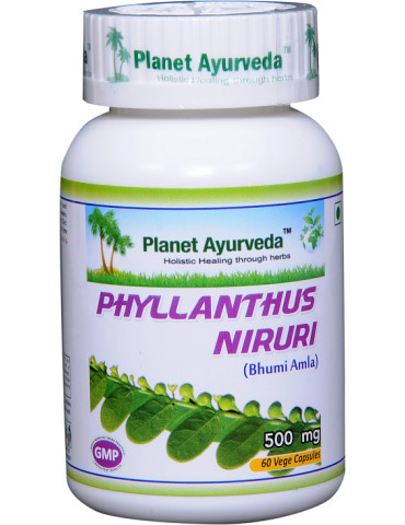 Planet Ayurveda Phyllanthus Niruri 60 capsules