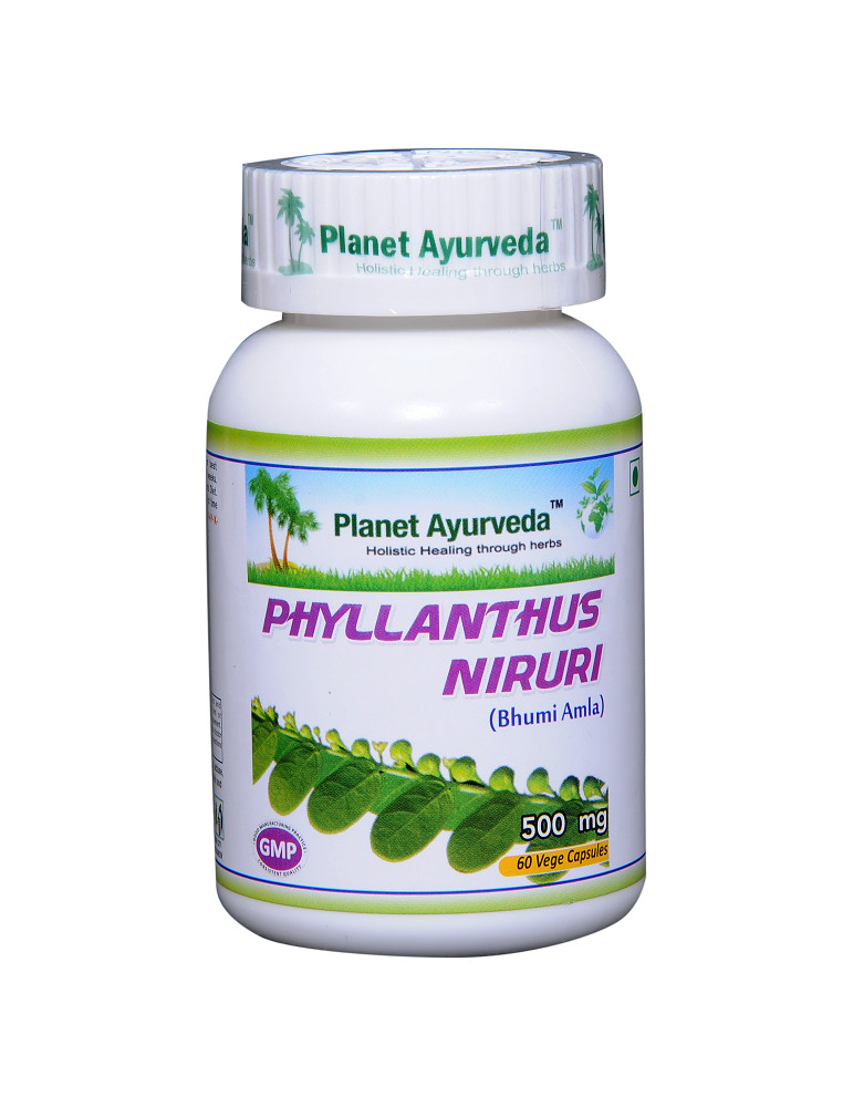 Planet Ayurveda Phyllanthus Niruri 60 capsules