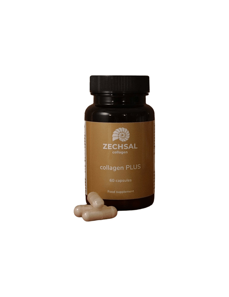 Zechsal COLLAGEN PLUS 60 capsules