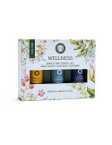 Song of India Aroomiteraapiline komplekt WELLNESS