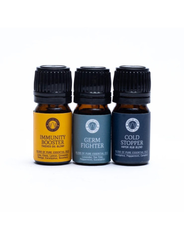 Song of India Aroomiteraapiline komplekt WELLNESS 2