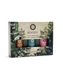 Song of India aroomteraapiline komplekt WOODSY