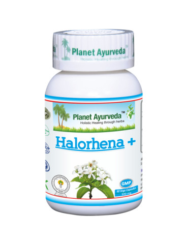 Planet Ayurveda Kutaj Halorhena +  ekstrakt 60kapslit