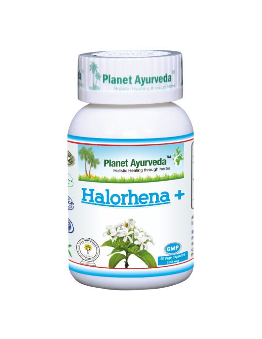 Planet Ayurveda Kutaj Halorhena +  ekstrakt 60kapslit
