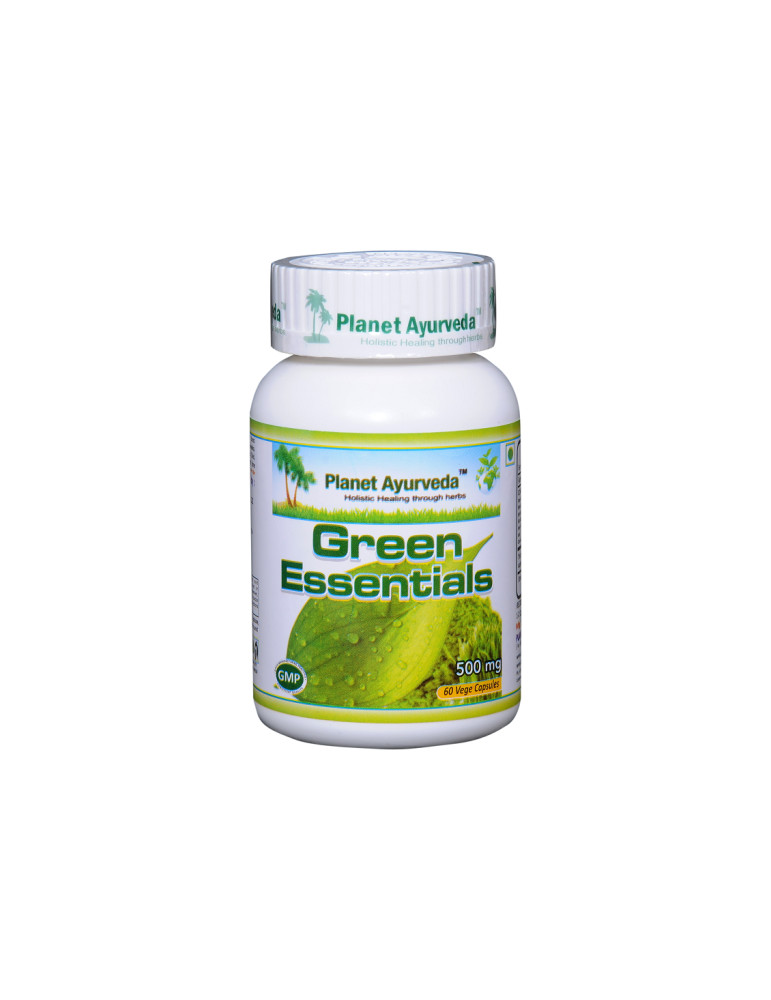 Planet Ayurveda Green Essentials ekstrakt- vitamiinide ja mineraalide allikas 60 taimset kapslit