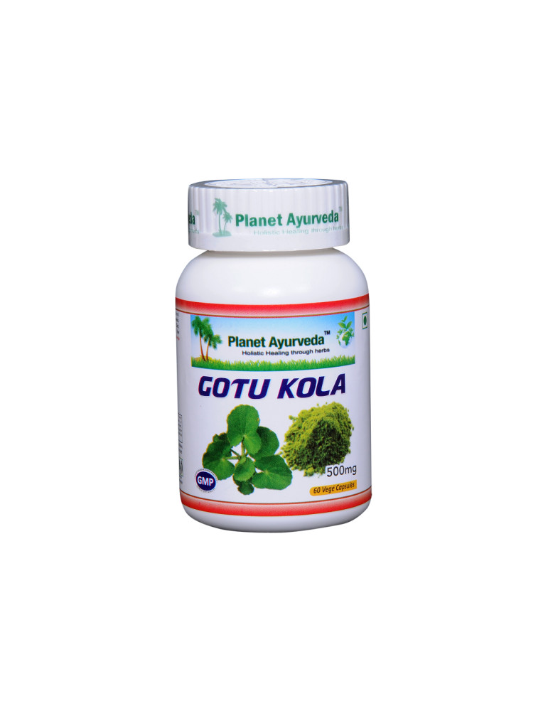 Planet Ayurveda Gotu Kola(aasia vesinaba) ekstrakt 60 kapslit
