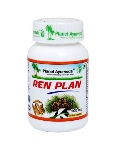 Planet Ayurveda Ren Plan extract- 60 capsules for bladder, kidney and overall urinary health