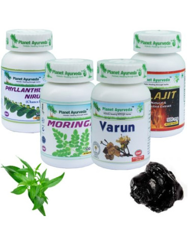 Planet Ayurveda NEERUDE taastamise pakett