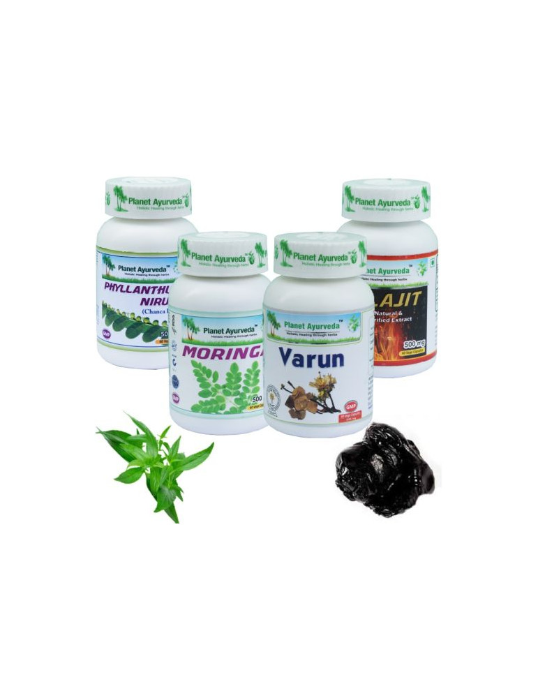 Planet Ayurveda NEERUDE taastamise pakett