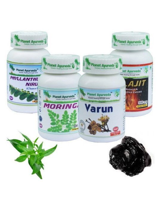 Planet Ayurveda KIDNEY recovery package