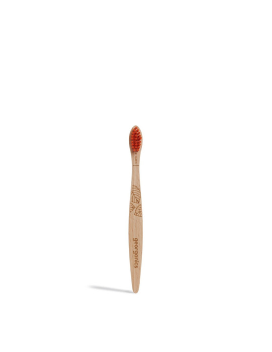 Beech toothbrush for children