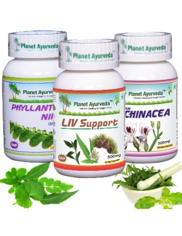 Planet Ayurveda liver care package 3x60 capsules