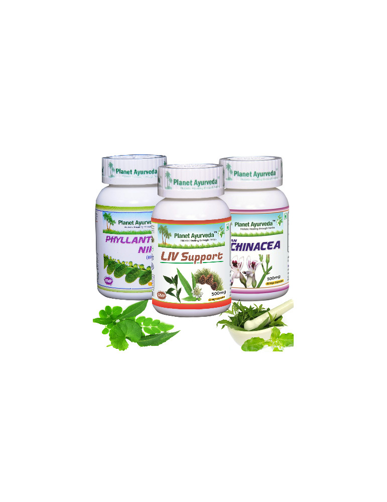 Planet Ayurveda liver care package 3x60 capsules