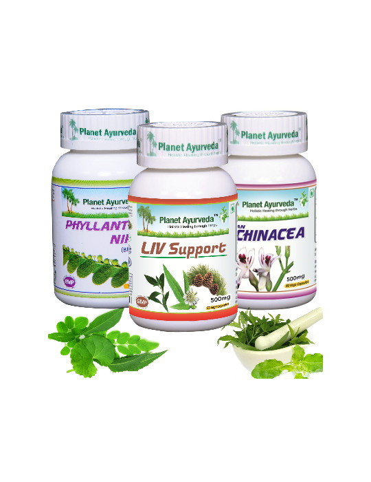 Planet Ayurveda MAKSAHOOLDUSE pakett 3x60kapslit