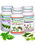 Planet Ayurveda liver care package 3x60 capsules