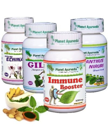 Planet Ayurveda  Antivirus package 4x60 capsules