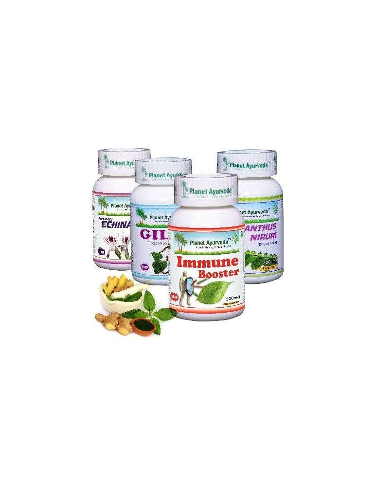 Planet Ayurveda  Antivirus package 4x60 capsules