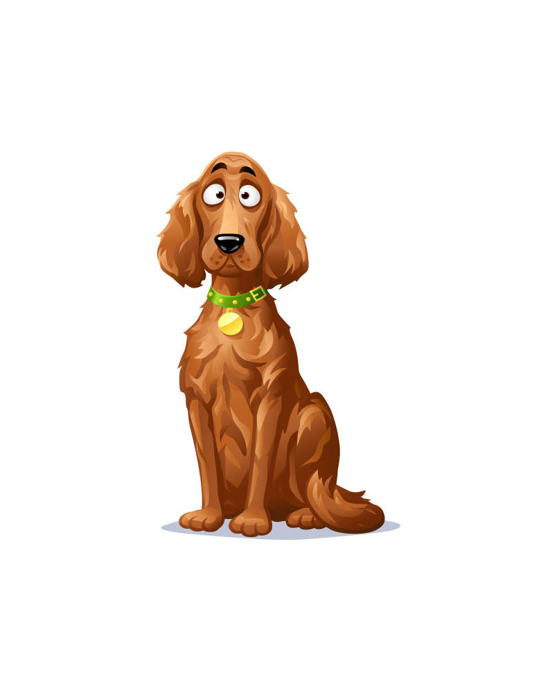 MiFido shampoo for long-haired dogs 250 ml