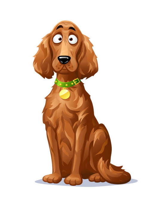 MiFido shampoo for long-haired dogs 250 ml