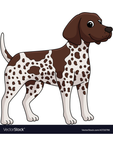 MiFido  Shampoo for short-haired dogs 250ml 2