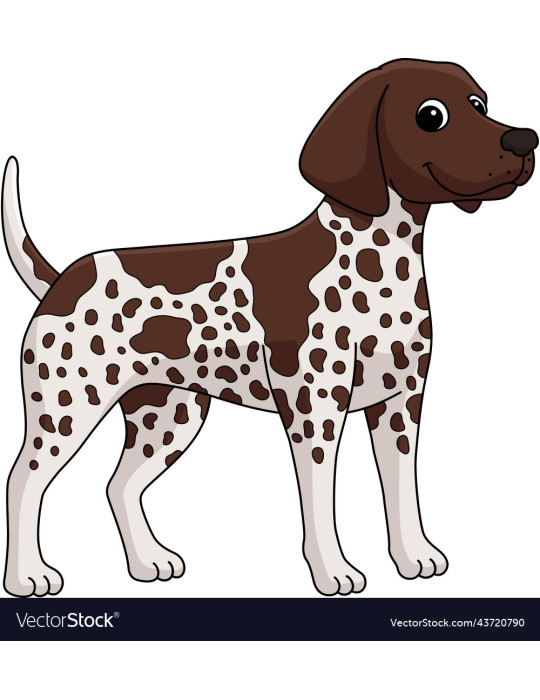 MiFido  Shampoo for short-haired dogs 250ml