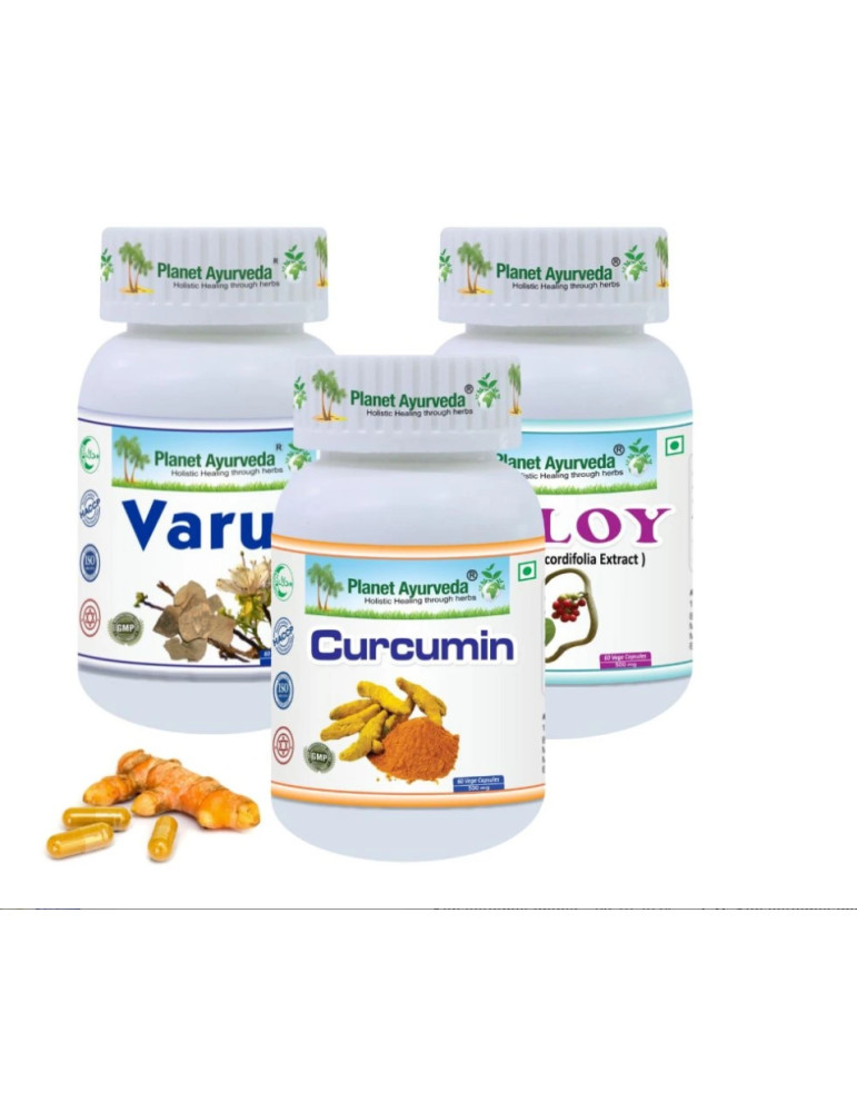 Planet Ayurveda DNA - kõrge kusihappesisaldus tugipakett I