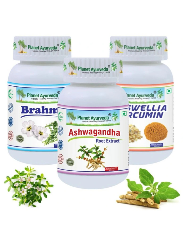 Planet Ayurveda PUUKENTSEFALIIDI vastane pakett