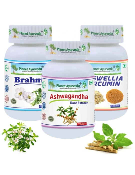 Planet Ayurveda PUUKENTSEFALIIDI vastane pakett