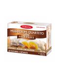 Terezia Mushroom Quartet with Reishi 60 kapslit