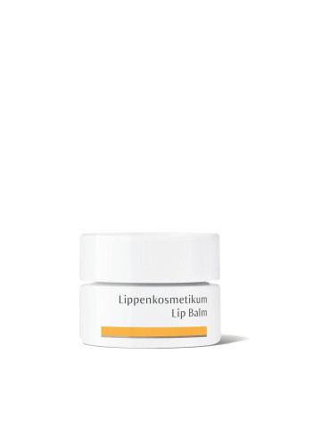 Dr. Hauschka taastav huulepalsam  4,2g