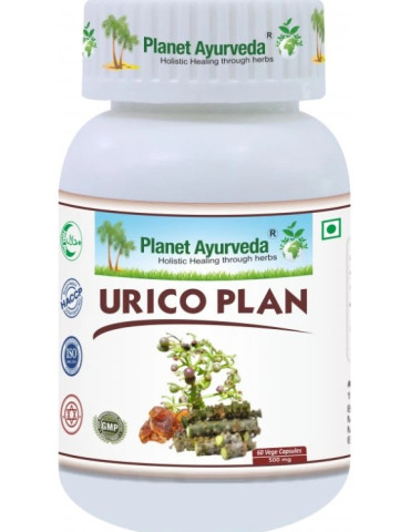 Planet Ayurveda Urico Plan - kuseteede tervis - 500 mg, 60 kapslit
