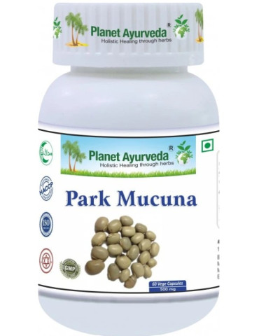 Park Mucuna -Parkinson's Disease Support - Extract 500 mg, 60 capsules