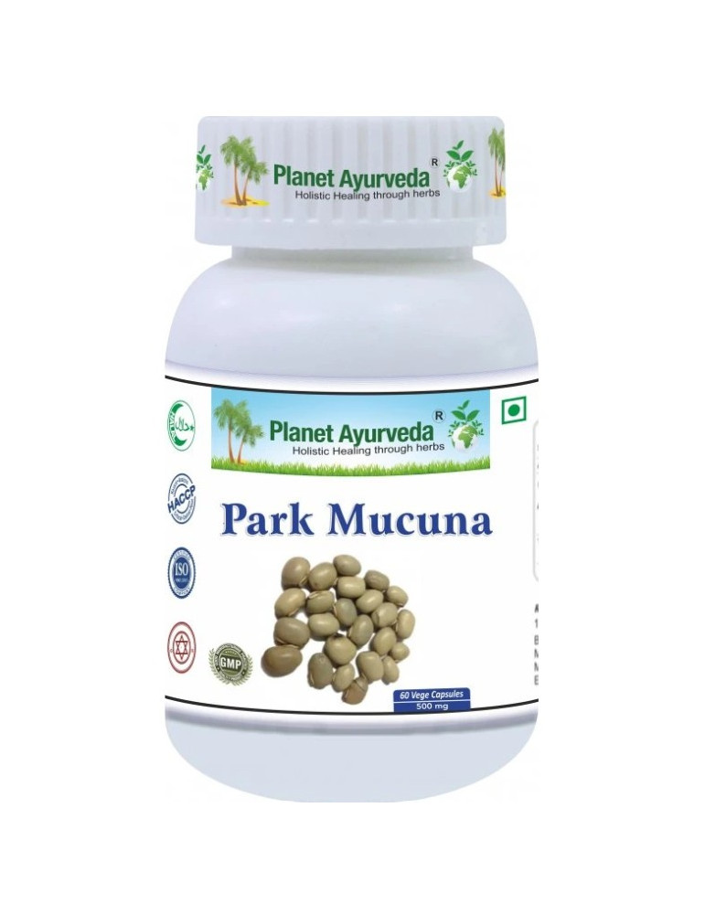 Park Mucuna -Parkinson's Disease Support - Extract 500 mg, 60 capsules
