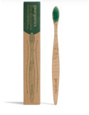 Beech toothbrush, medium strength