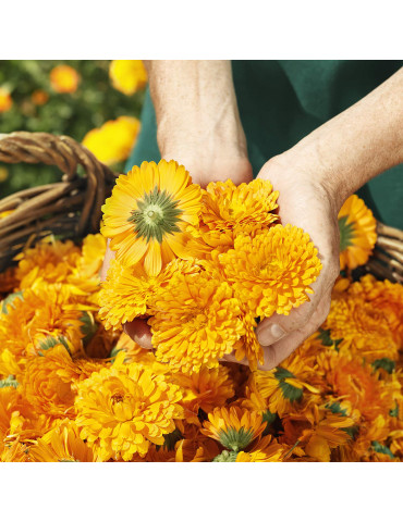 Weleda Saialille Good sleep bath milk 200ml 2