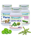 Planet Ayurveda - Kombopakett GLAUKOOMI ja KATARAKTI   korral