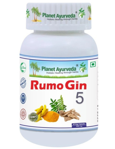 Planet Ayurveda RumoGin5 - Liigesed, Põletik - 500 mg, 60 kapslit