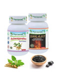 Planet Ayurveda URIINIPIDAMATUSE pakett