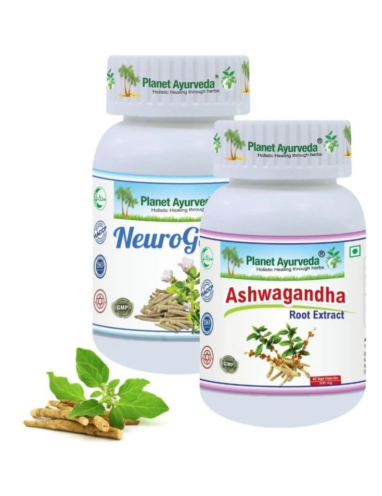 Planet Ayurveda POLÜNEUROPAATIA pakett