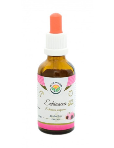 Echinacea alkohol-free tincture 50ml