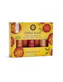 Song of India Aroomteraapiline komplekt CITRUS BLAST