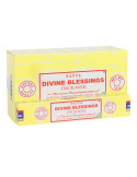 Satya lõhnapulgad JUMALIK ÕNNISTUS 12x15g